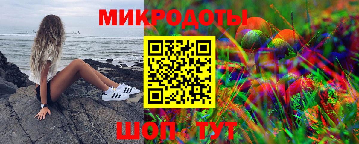 Галлюциногенные грибы Cubensis Владимир