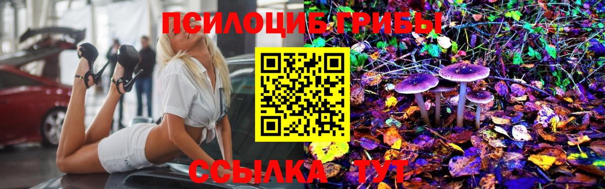 Галлюциногенные грибы Psilocybe  Вход с VPN  Владимир 